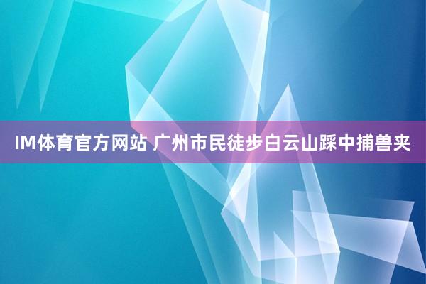 IM体育官方网站 广州市民徒步白云山踩中捕兽夹