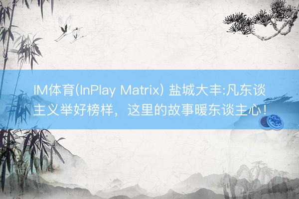 IM体育(InPlay Matrix) 盐城大丰:凡东谈主义举好榜样，这里的故事暖东谈主心！