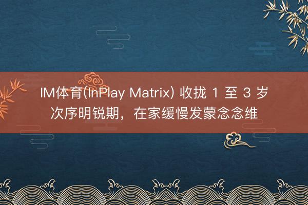 IM体育(InPlay Matrix) 收拢 1 至 3 岁次序明锐期，在家缓慢发蒙念念维