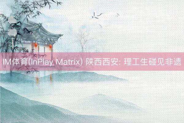 IM体育(InPlay Matrix) 陕西西安: 理工生碰见非遗