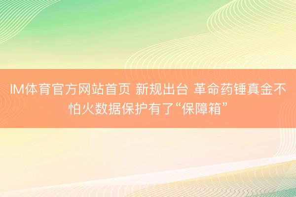 IM体育官方网站首页 新规出台 革命药锤真金不怕火数据保护有了“保障箱”