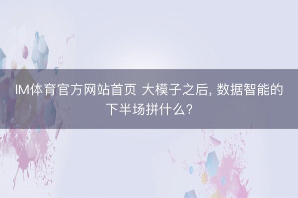 IM体育官方网站首页 大模子之后， 数据智能的下半场拼什么?