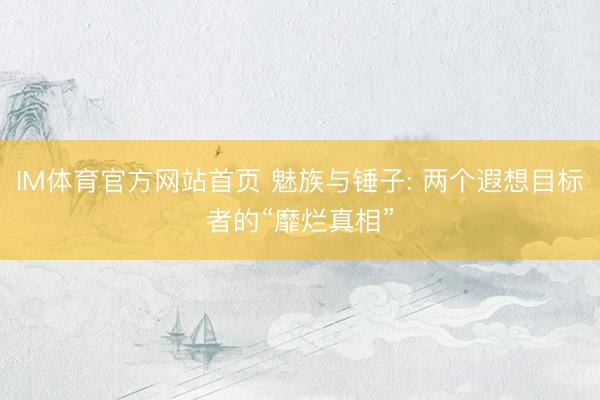IM体育官方网站首页 魅族与锤子: 两个遐想目标者的“靡烂真相”