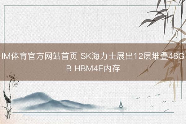 IM体育官方网站首页 SK海力士展出12层堆叠48GB HBM4E内存