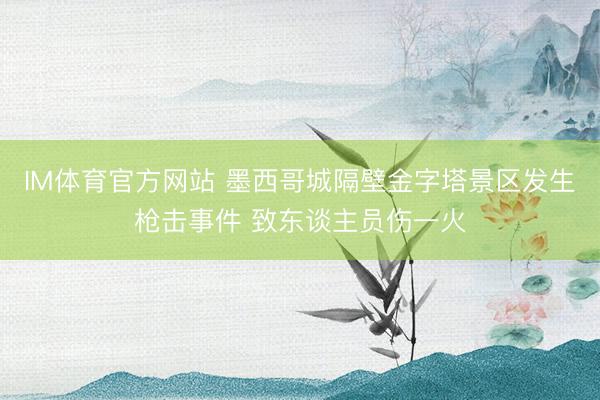 IM体育官方网站 墨西哥城隔壁金字塔景区发生枪击事件 致东谈主员伤一火